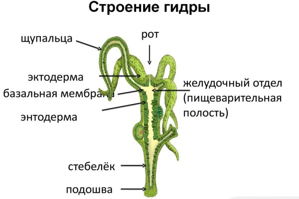 Омг маркет