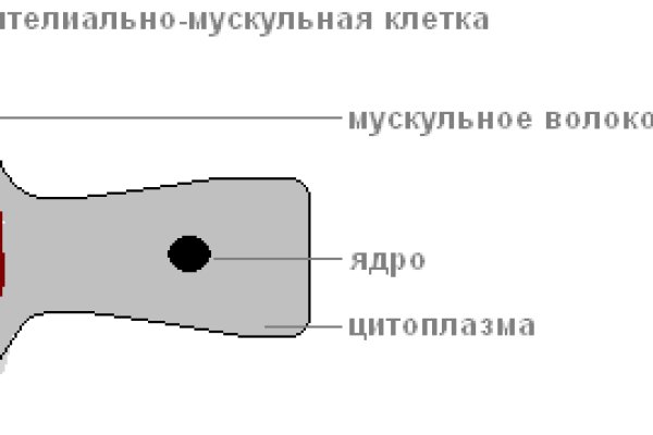 Ссылка com кракена