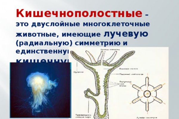 Как загрузить фото в мегу